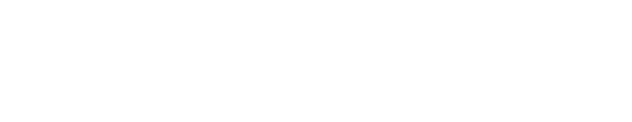 Blue Cross Blue Shield